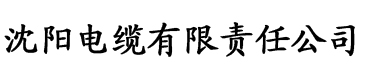 香蕉影音视频电缆厂logo